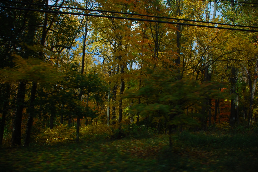 DSC_4047.JPG